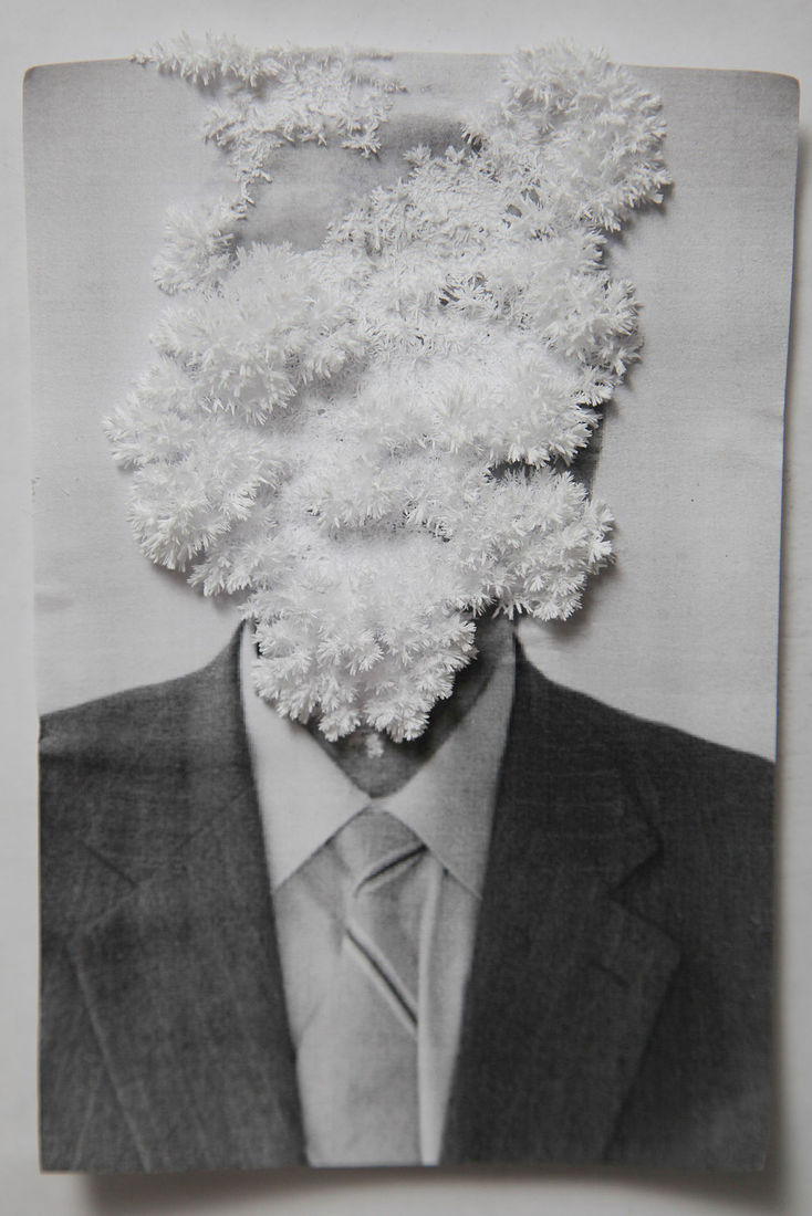 I grew artificial snow crystals in his archive portrait
